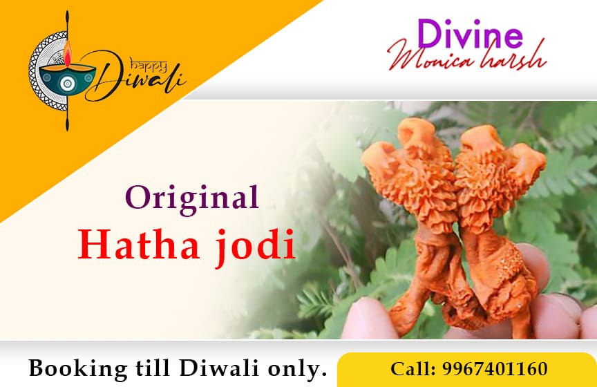 Buy Original Hatha jodi India