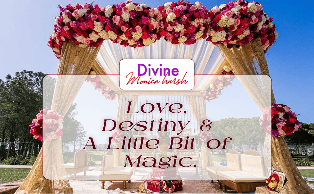 Divine Monica Harsh Logo